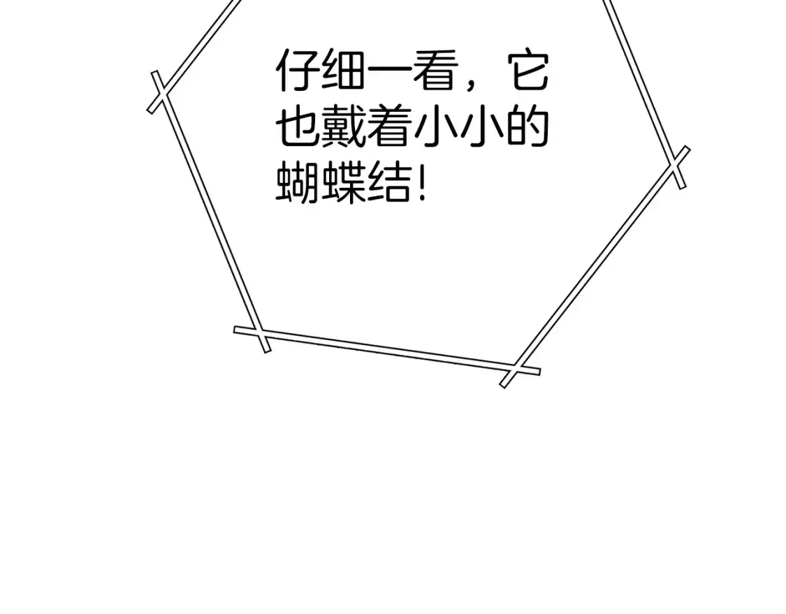 第129话 身世成谜的兔子57