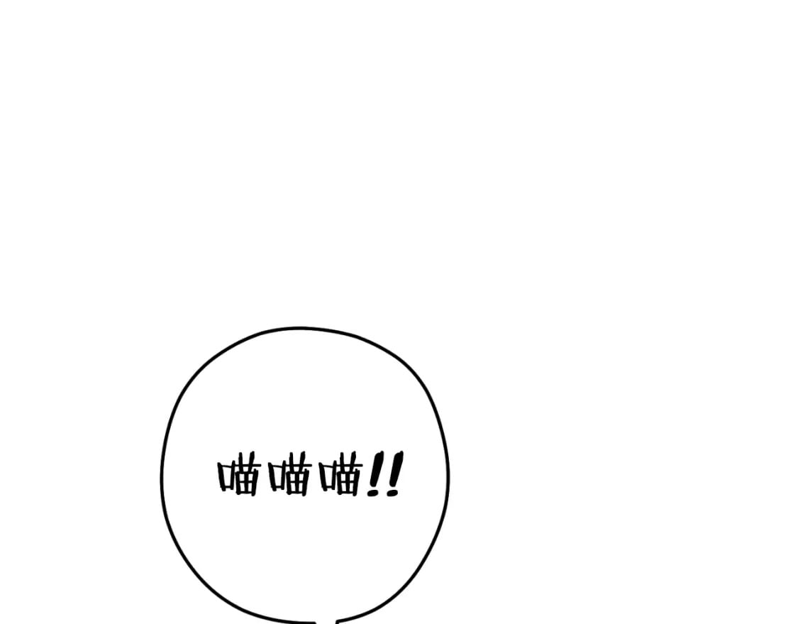 第164话 呜啊！魔法猫猫！mua！53