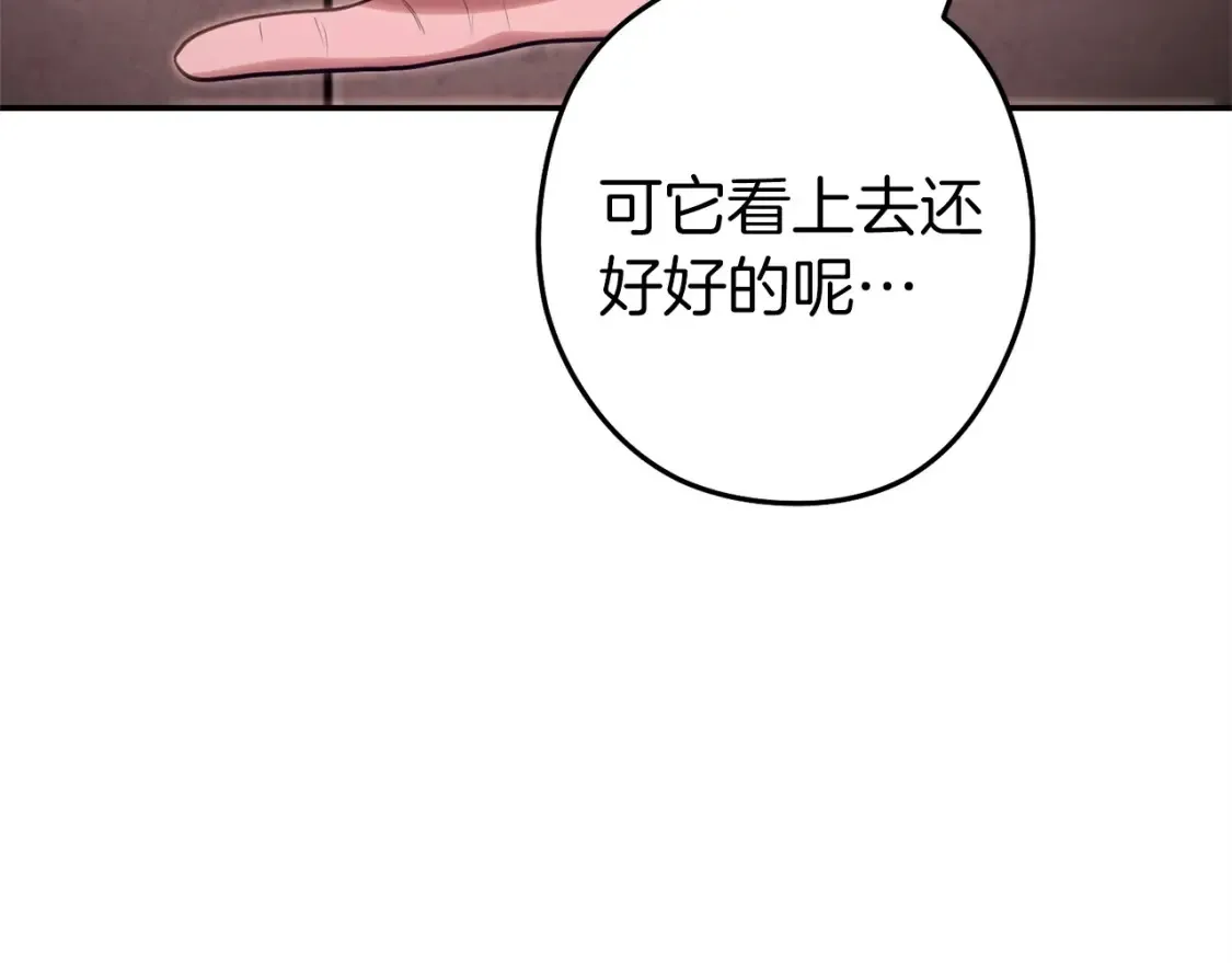 第129话 身世成谜的兔子29