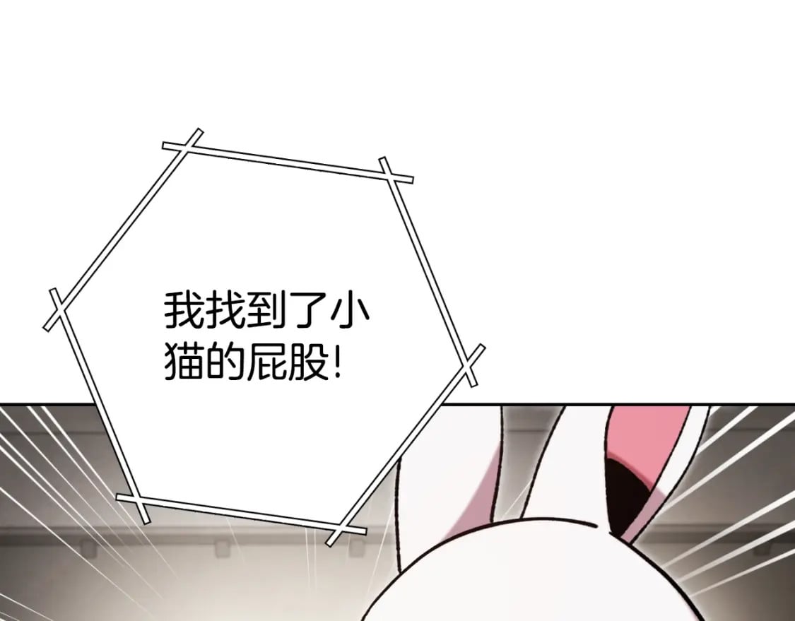 第173话 你好！小猫84