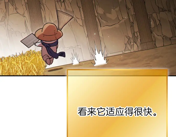 第79话 新小弟，新气象9