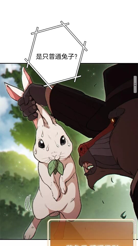 第37话 兔子的史诗技能！41