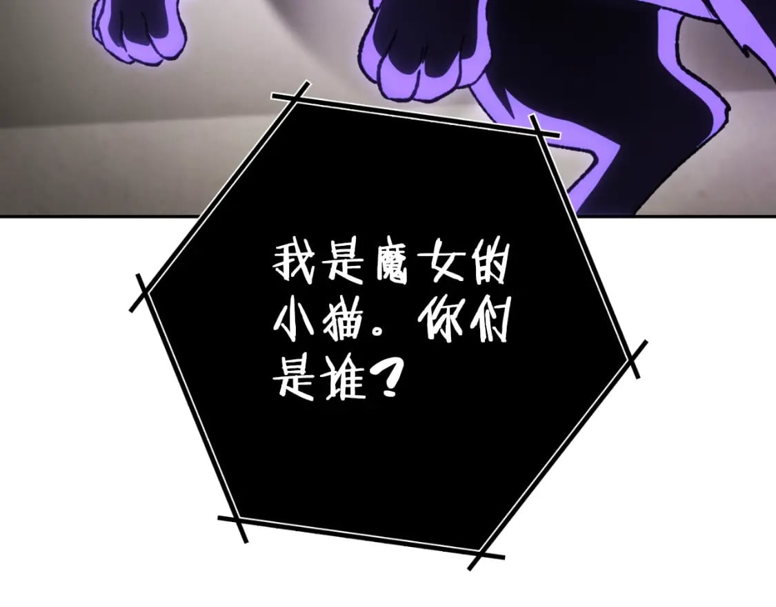 第173话 你好！小猫122