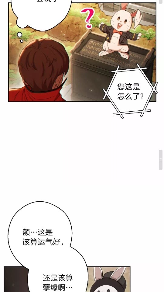 第31话 我兔子将带头种地！40