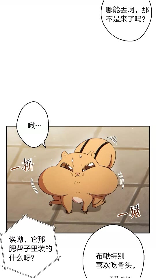 第32话 小矮蛙????3