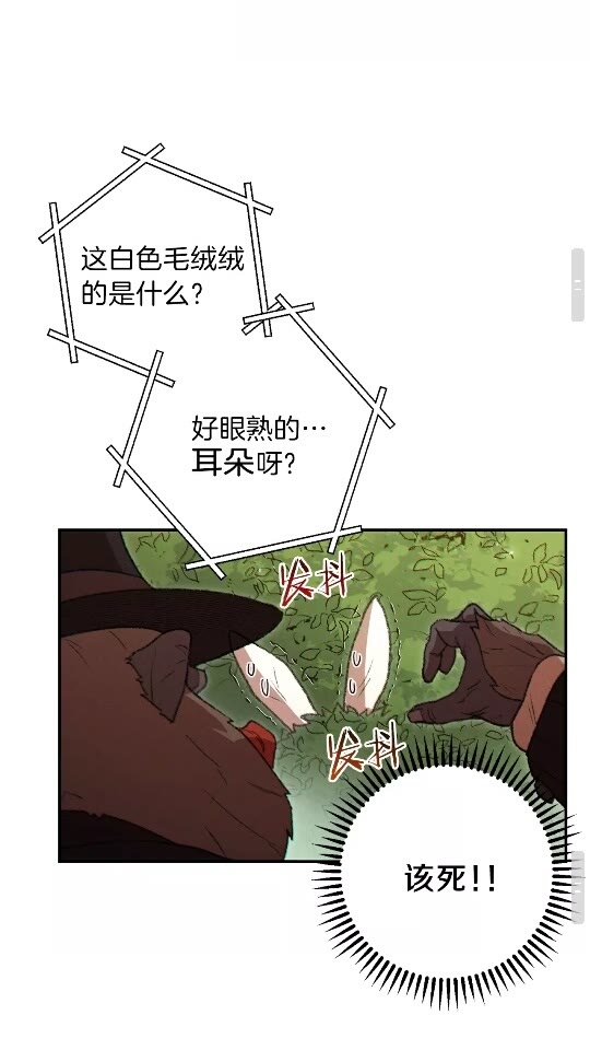 第37话 兔子的史诗技能！35