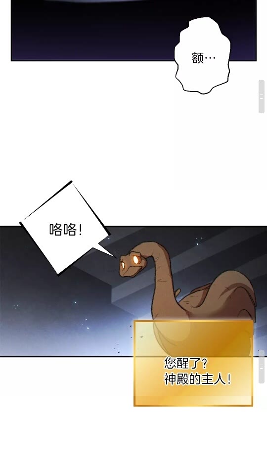第37话 兔子的史诗技能！64