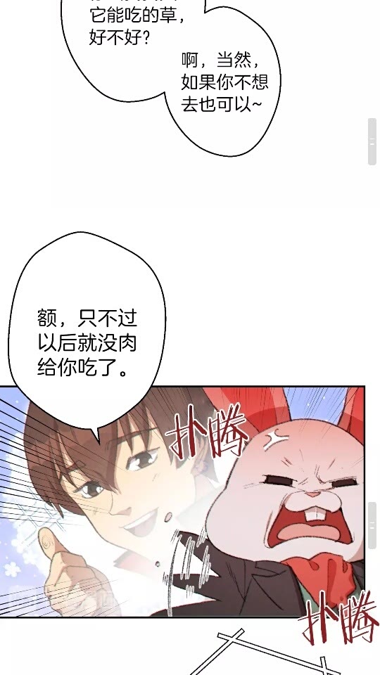 第37话 兔子的史诗技能！26