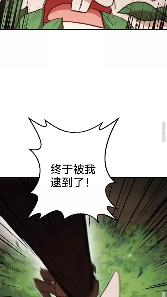 第37话 兔子的史诗技能！37