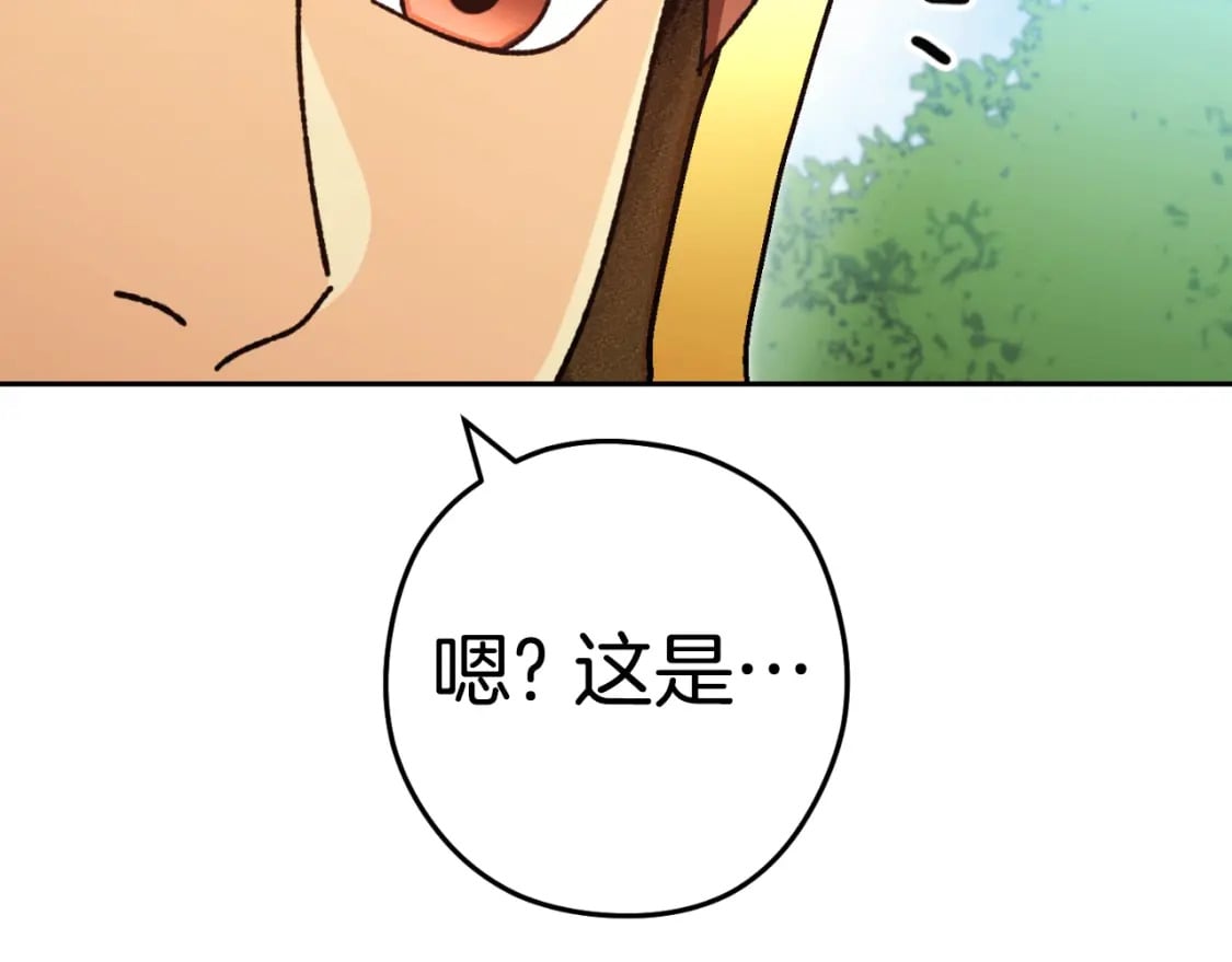 第168话 精灵165