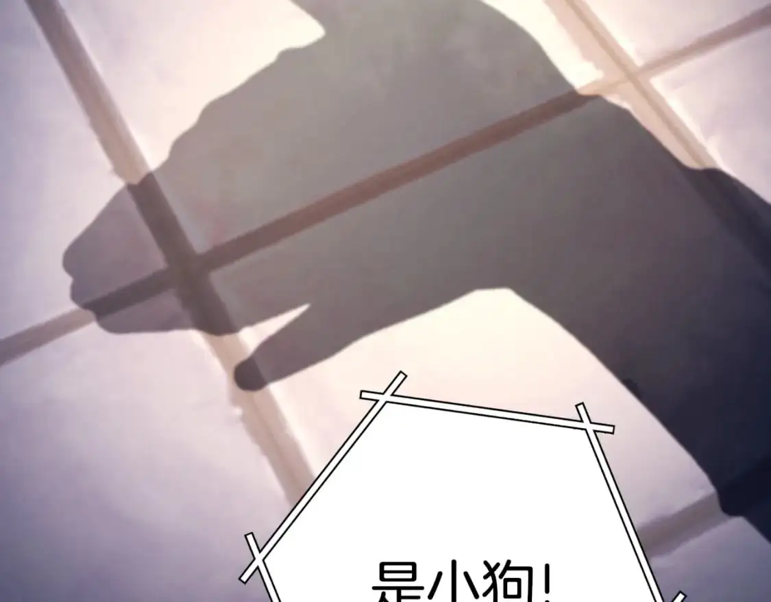 第175话 影子形态157