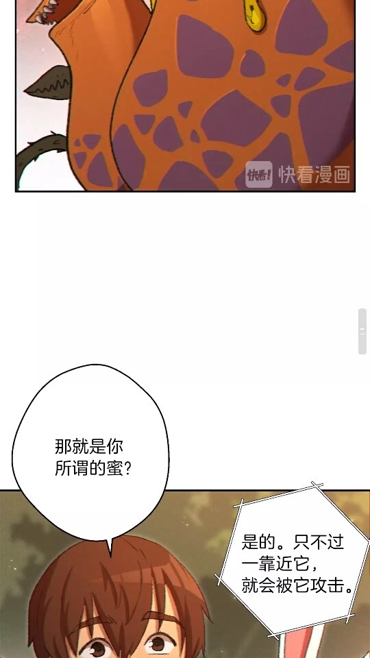 第32话 小矮蛙????47