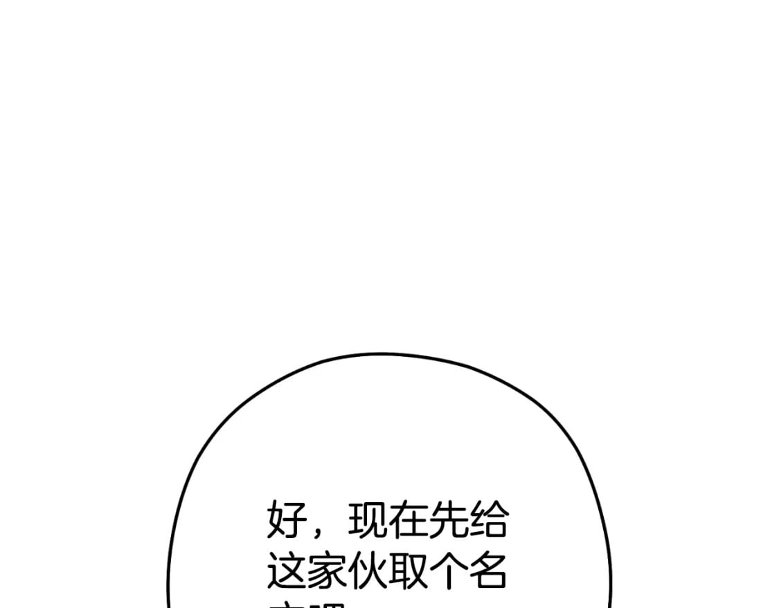 第164话 呜啊！魔法猫猫！mua！176