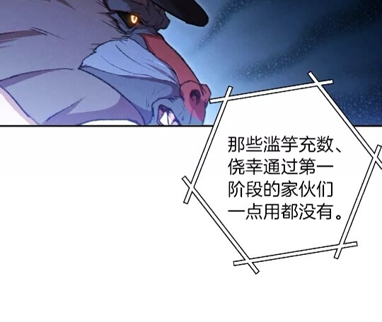 第37话 兔子的史诗技能！21
