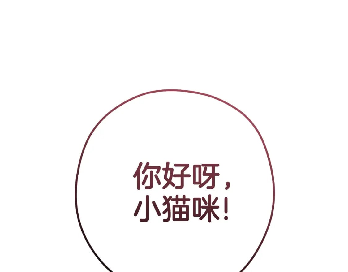 第173话 你好！小猫246