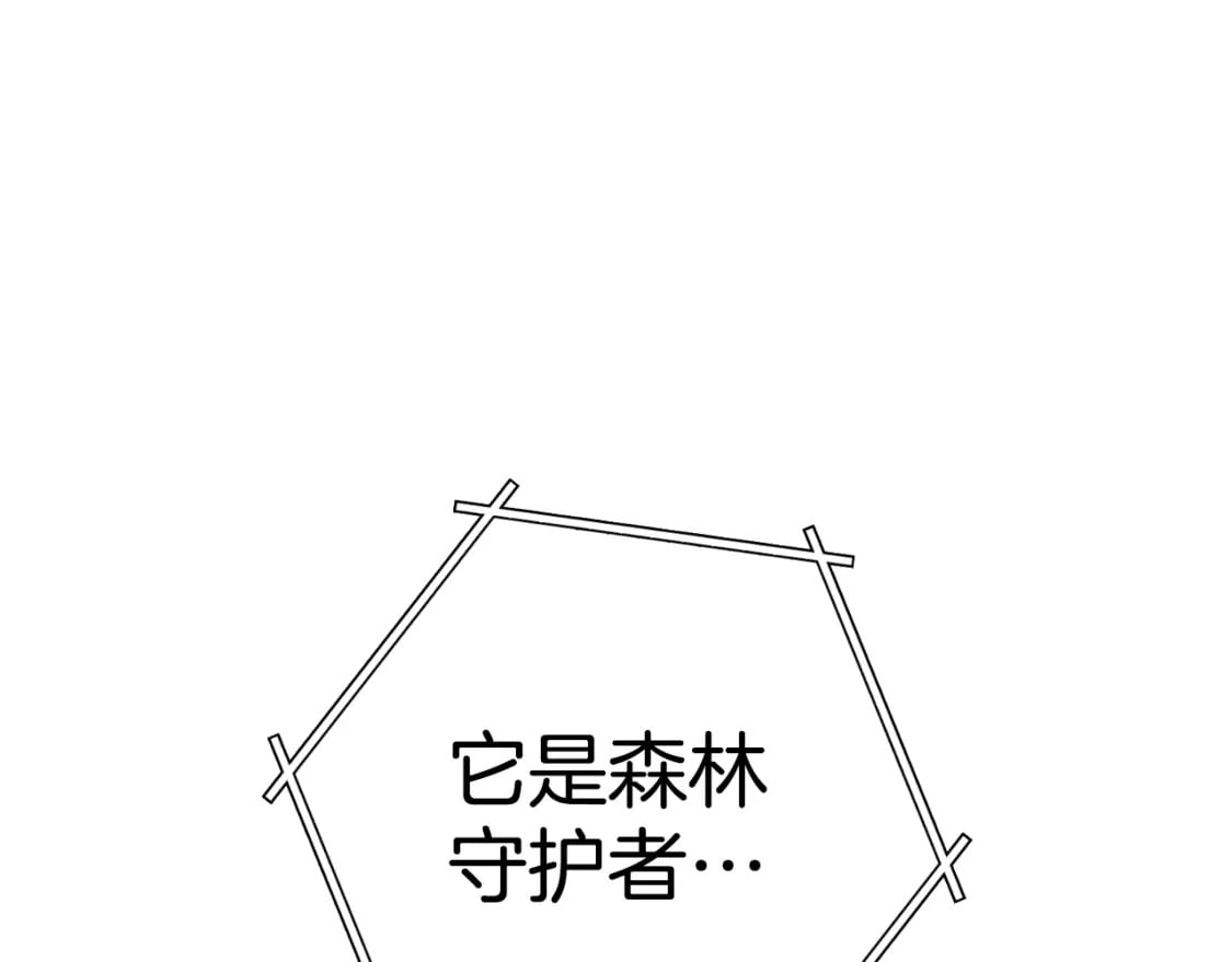 第170话 精灵的武器223