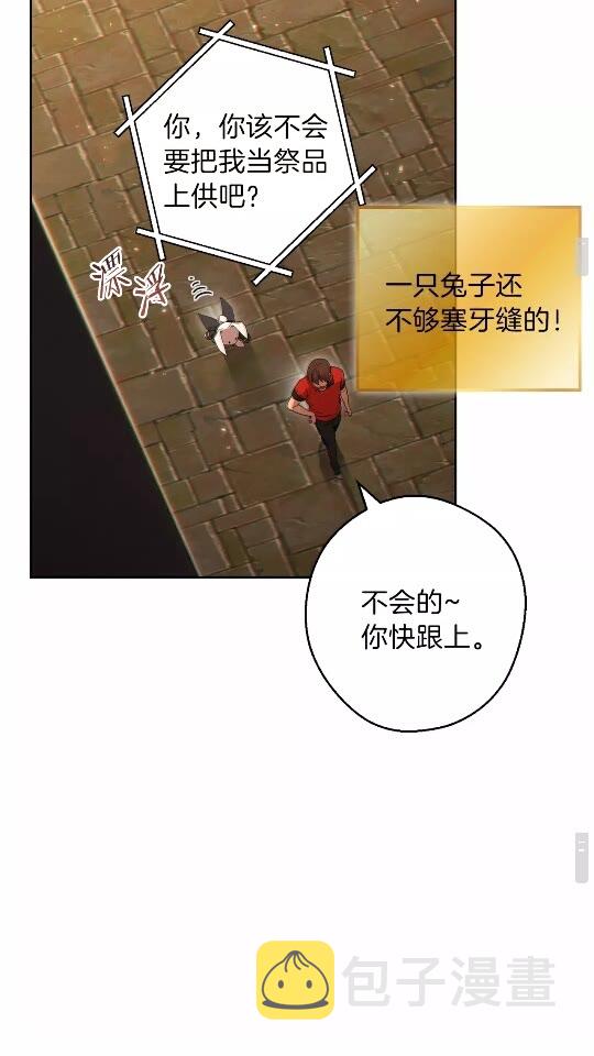 第31话 我兔子将带头种地！18
