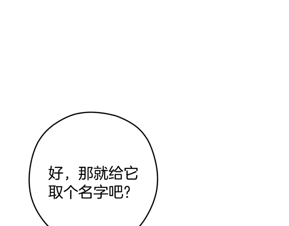 第166话 绝妙的办法24