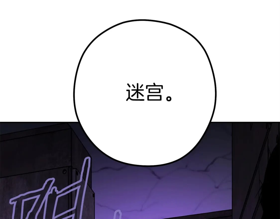 第158话 攻略迷宫244