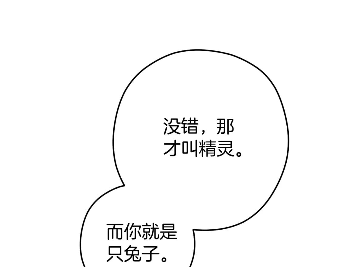 第168话 精灵37
