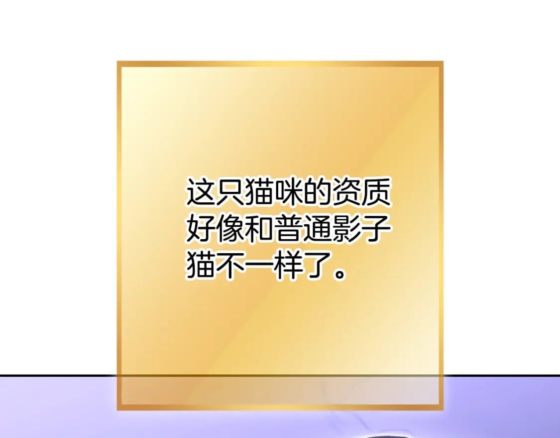 第164话 呜啊！魔法猫猫！mua！87