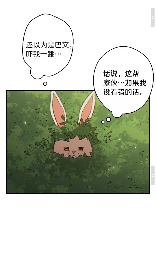 第37话 兔子的史诗技能！29