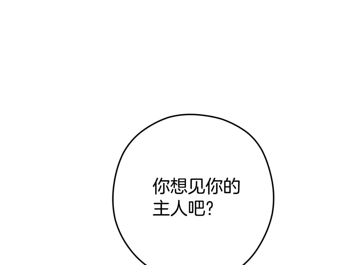 第173话 你好！小猫168