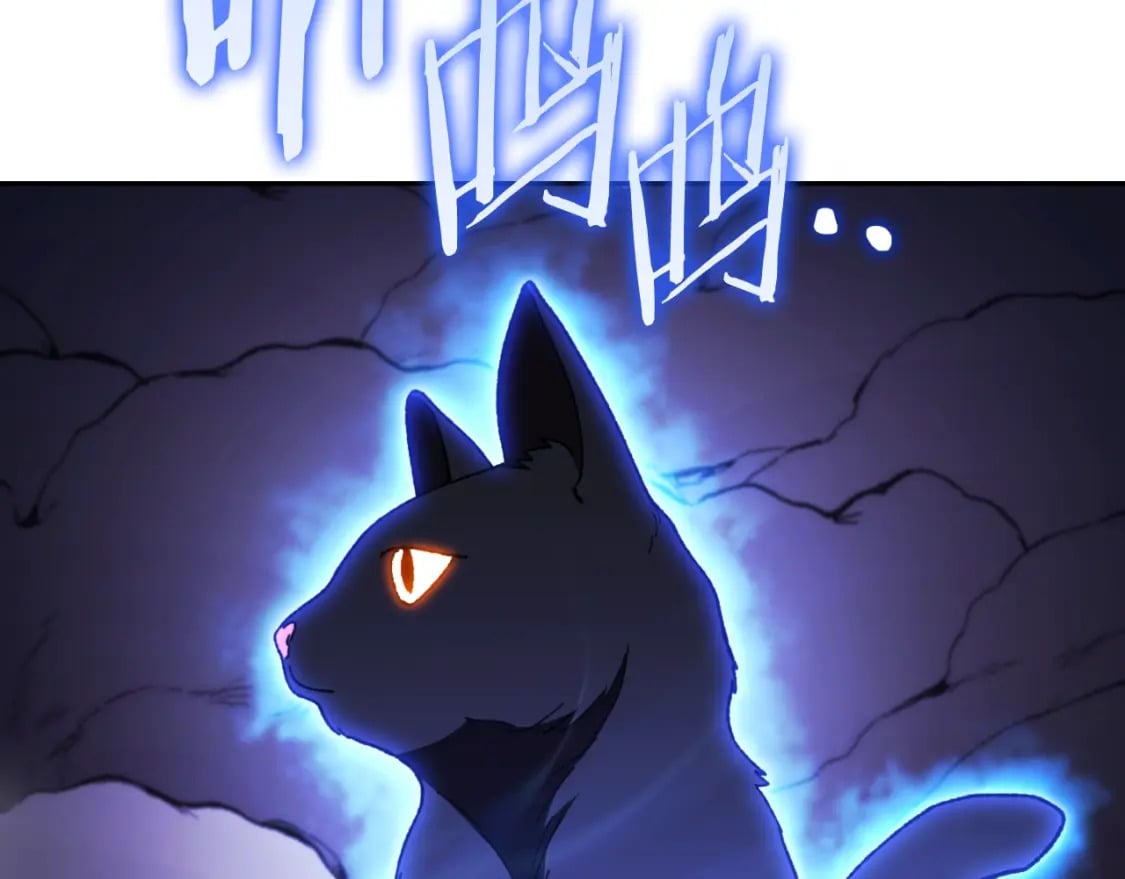 第164话 呜啊！魔法猫猫！mua！83