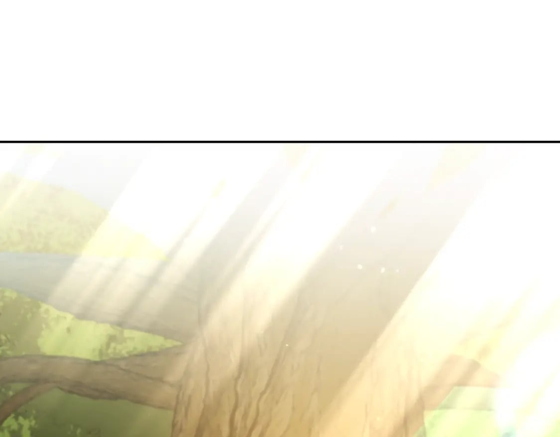 第170话 精灵的武器145