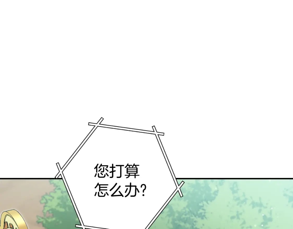 第166话 绝妙的办法247