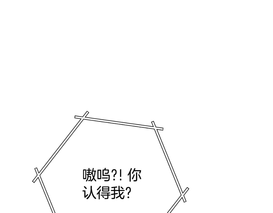 第173话 你好！小猫130