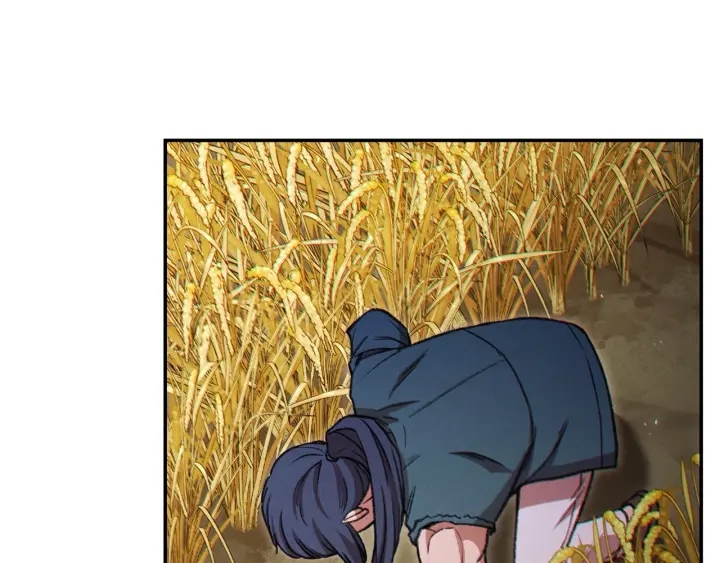 第51话 神殿升起！135