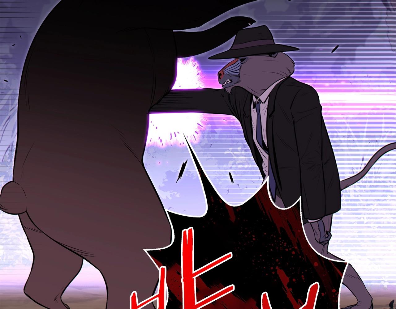 第123话 转兔子41