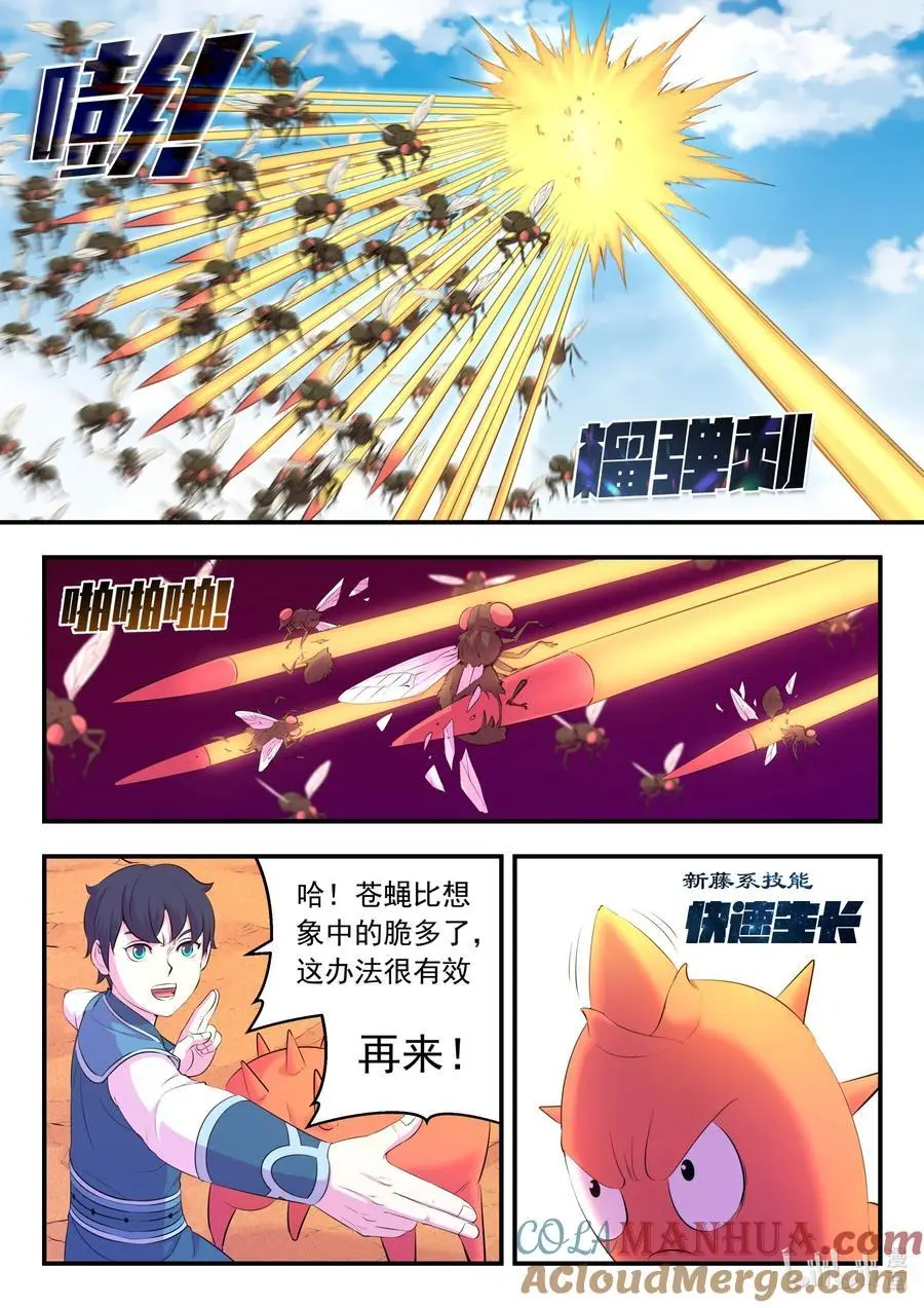221 蝇群14