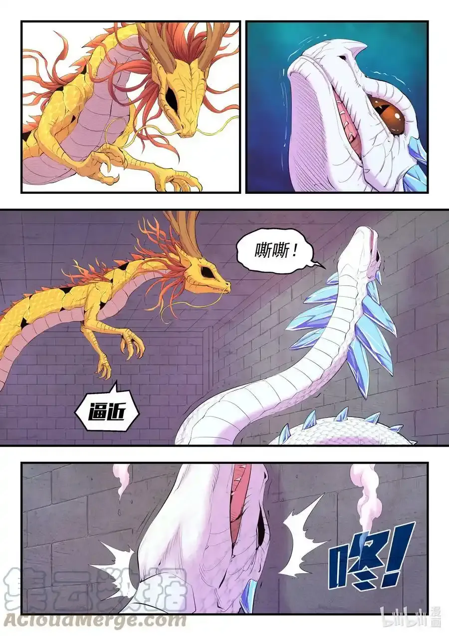 164 金鳞真龙14