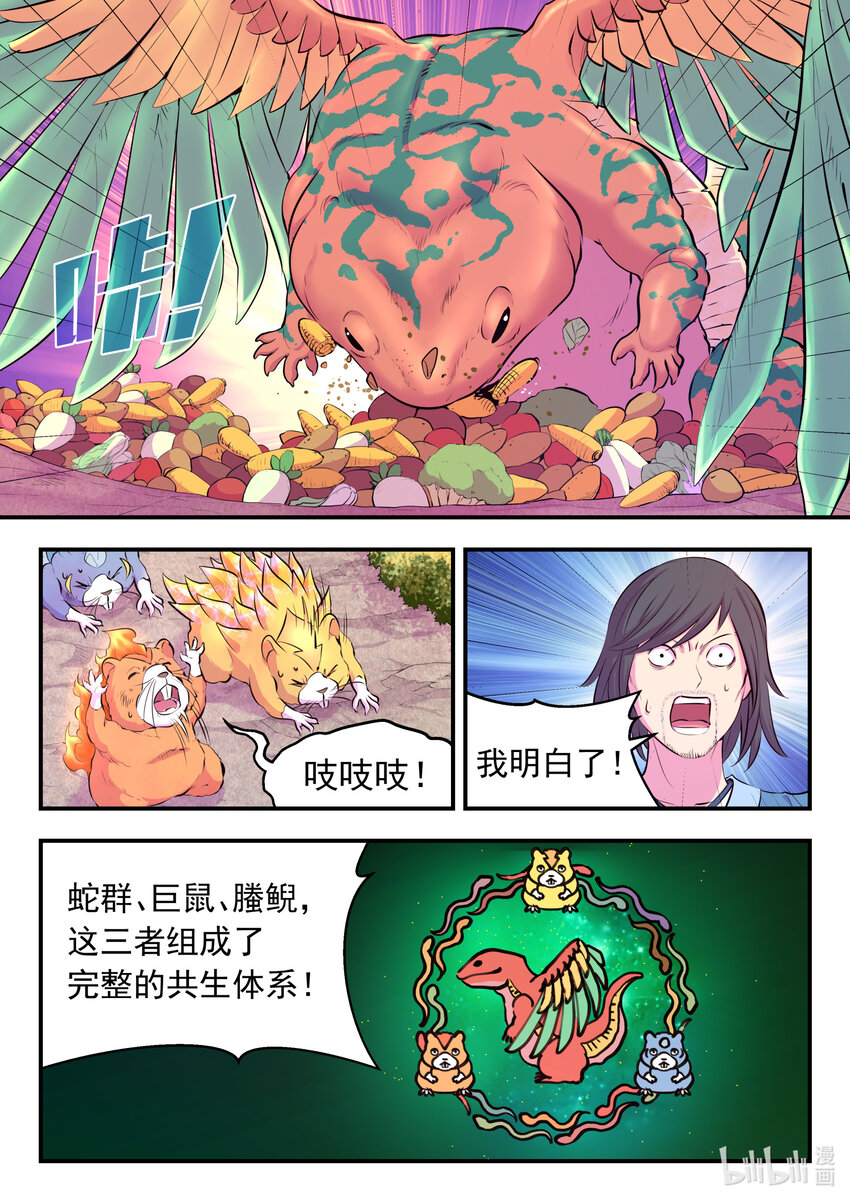 115 三族共生体系10