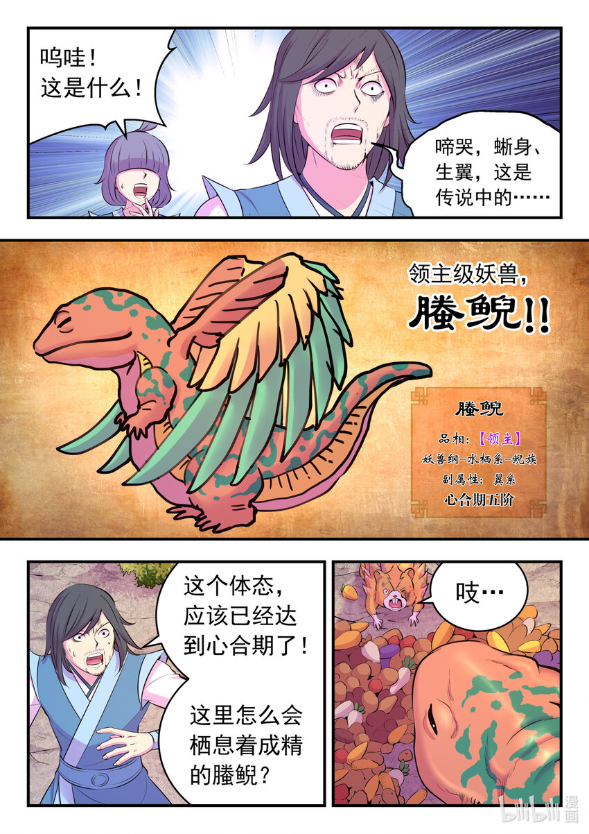 115 三族共生体系9