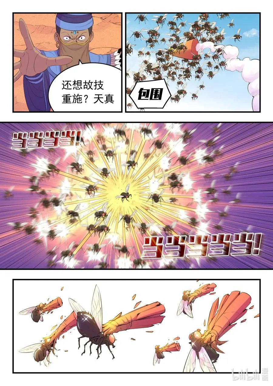 221 蝇群15