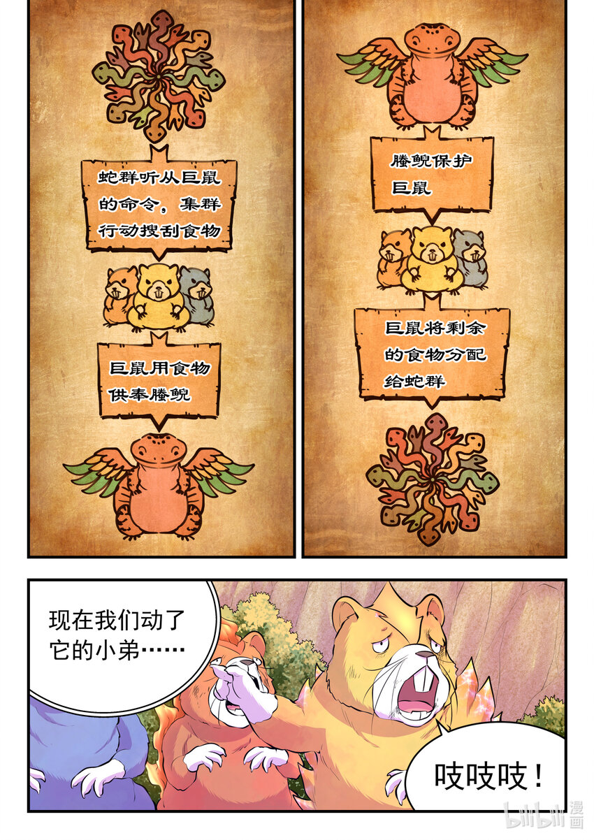 115 三族共生体系11