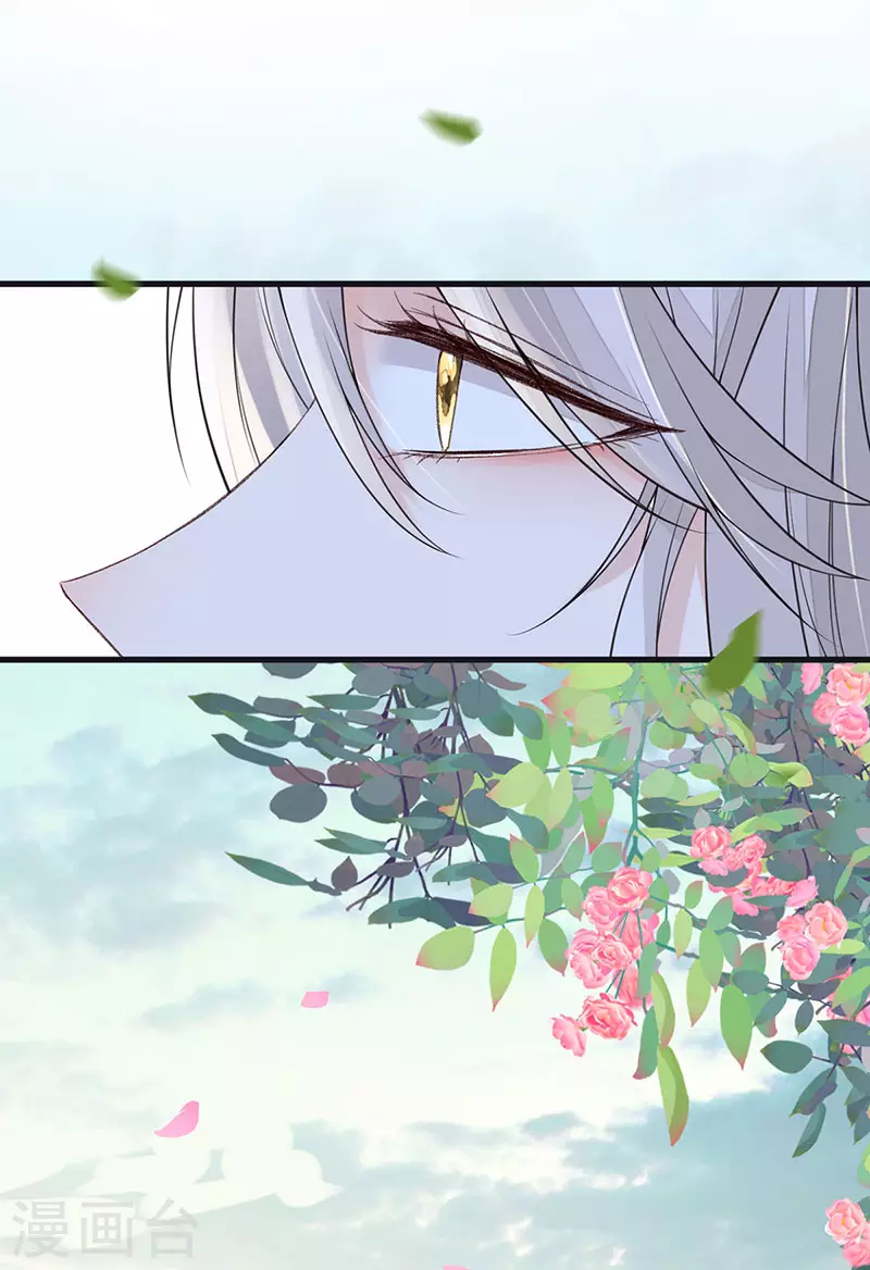 第106话 金屋锁卿卿11