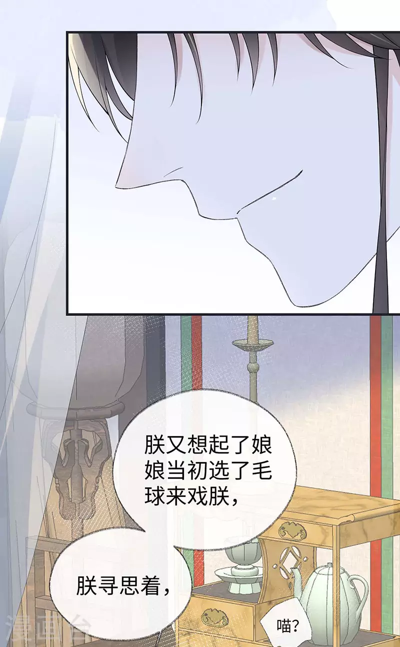 第179话猫咪踩奶17