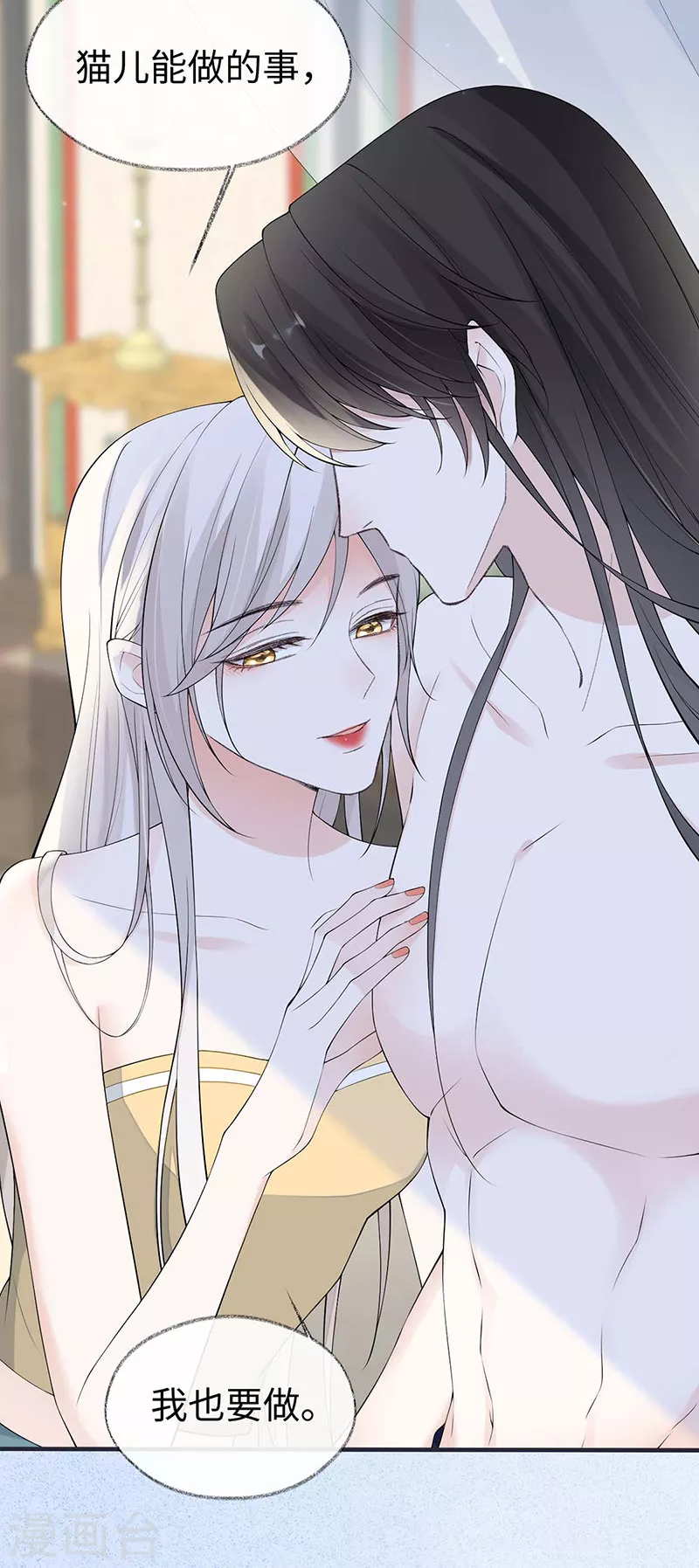 第179话猫咪踩奶6