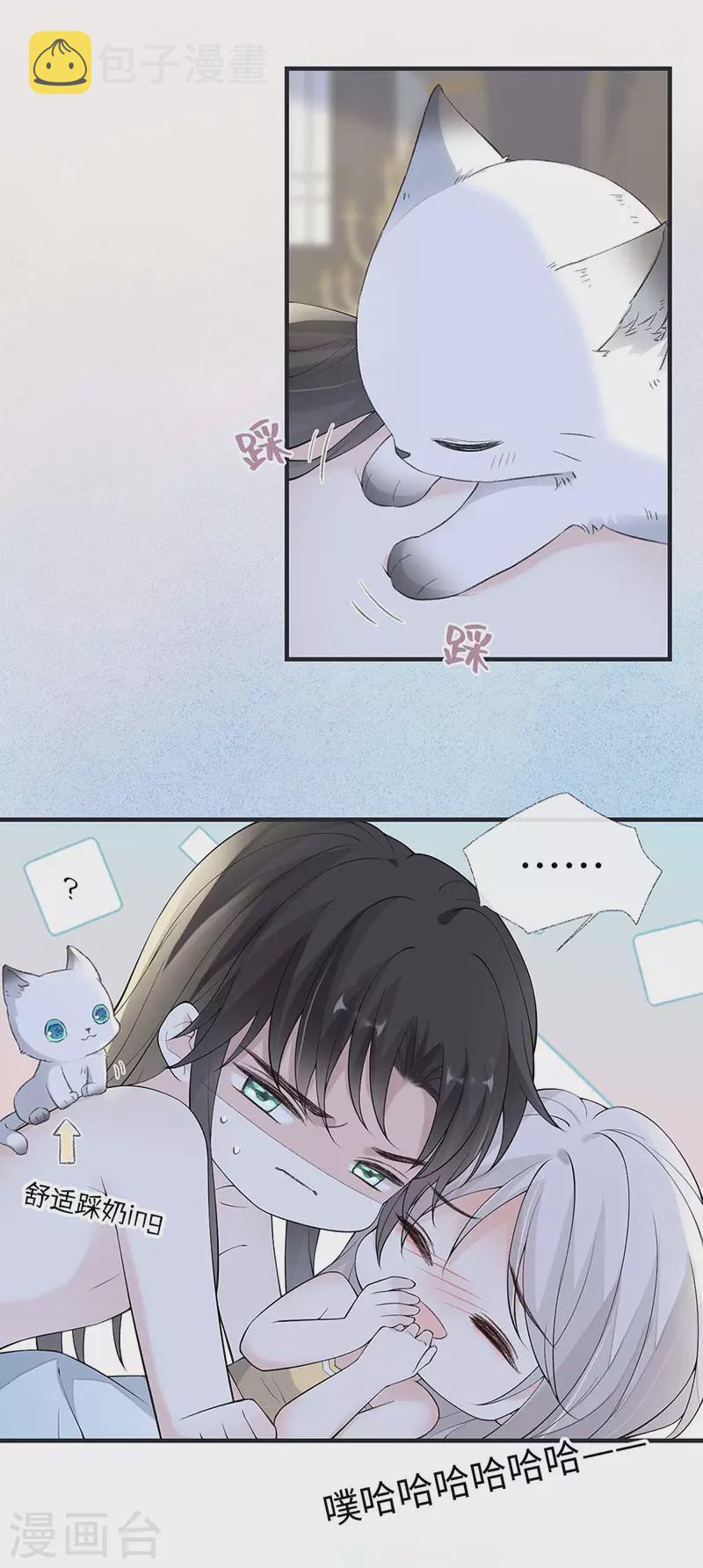 第179话猫咪踩奶15