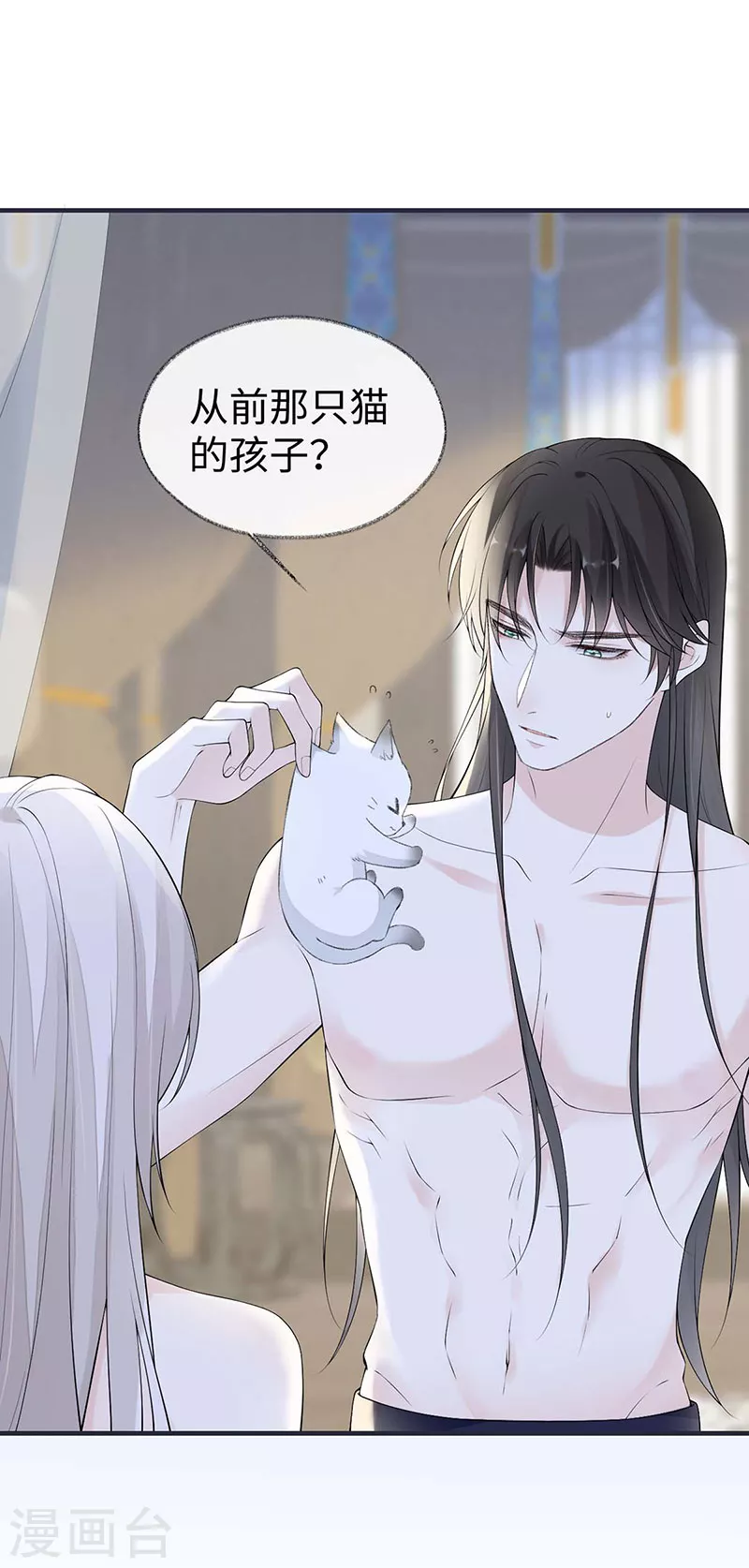 第179话猫咪踩奶1
