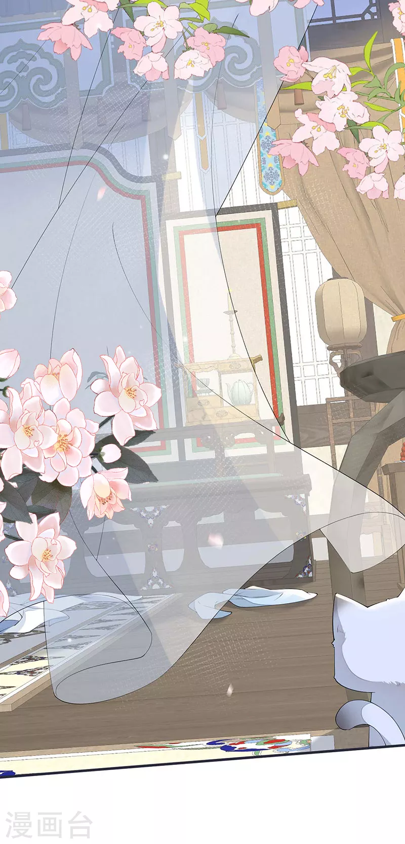 第179话猫咪踩奶9