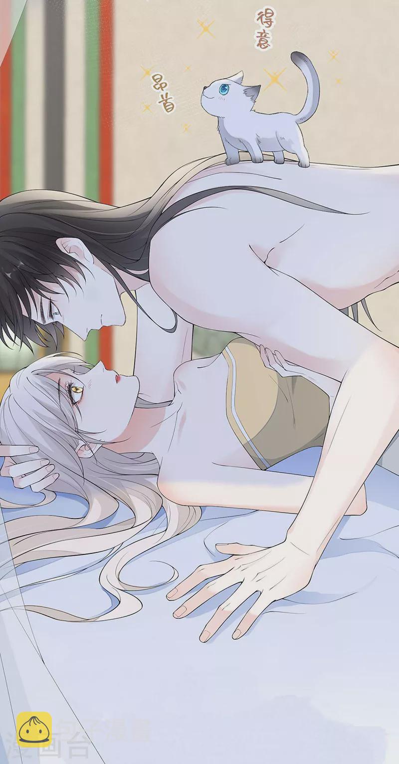 第179话猫咪踩奶12