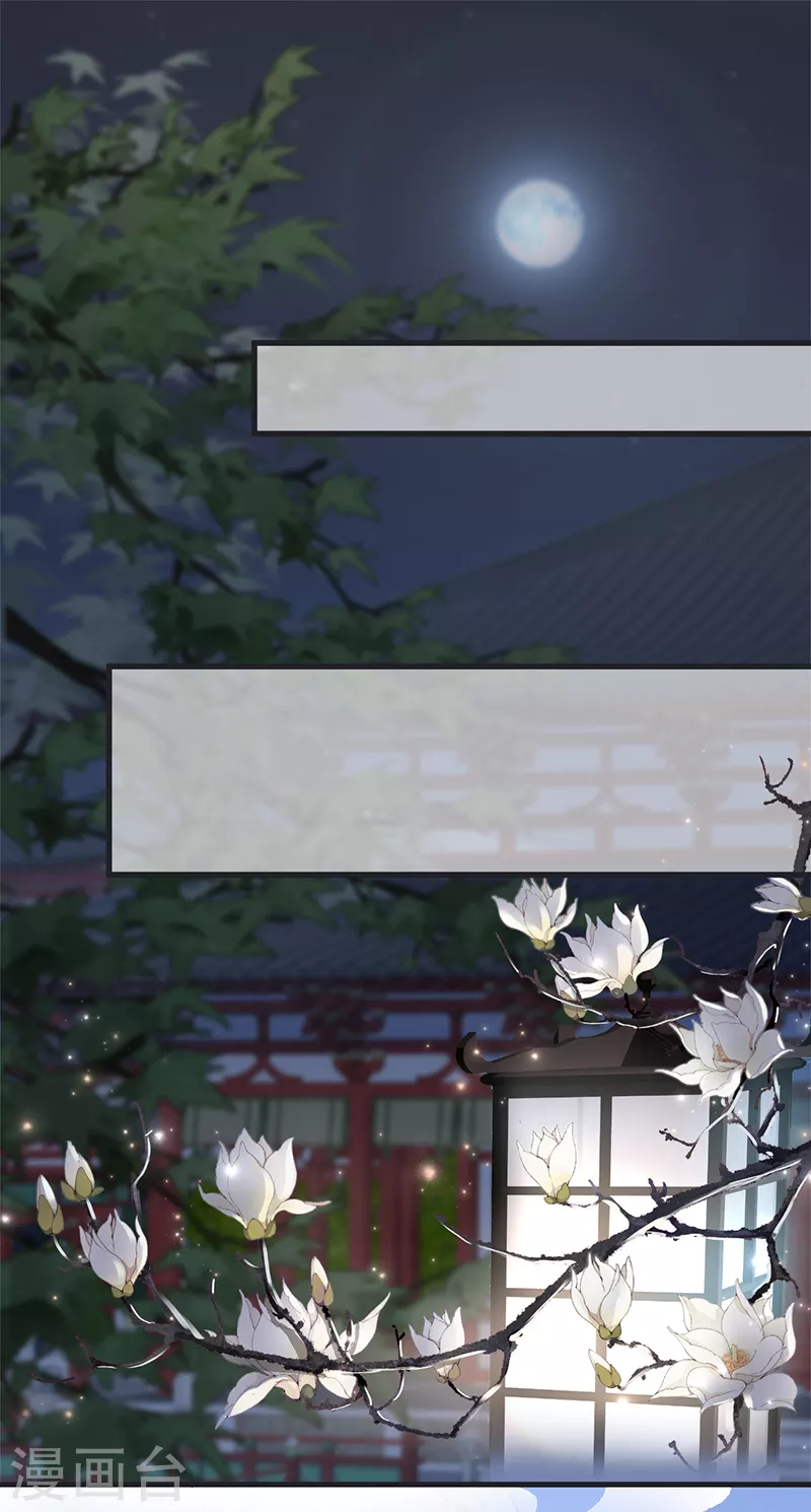 第123话 最后一次信任1