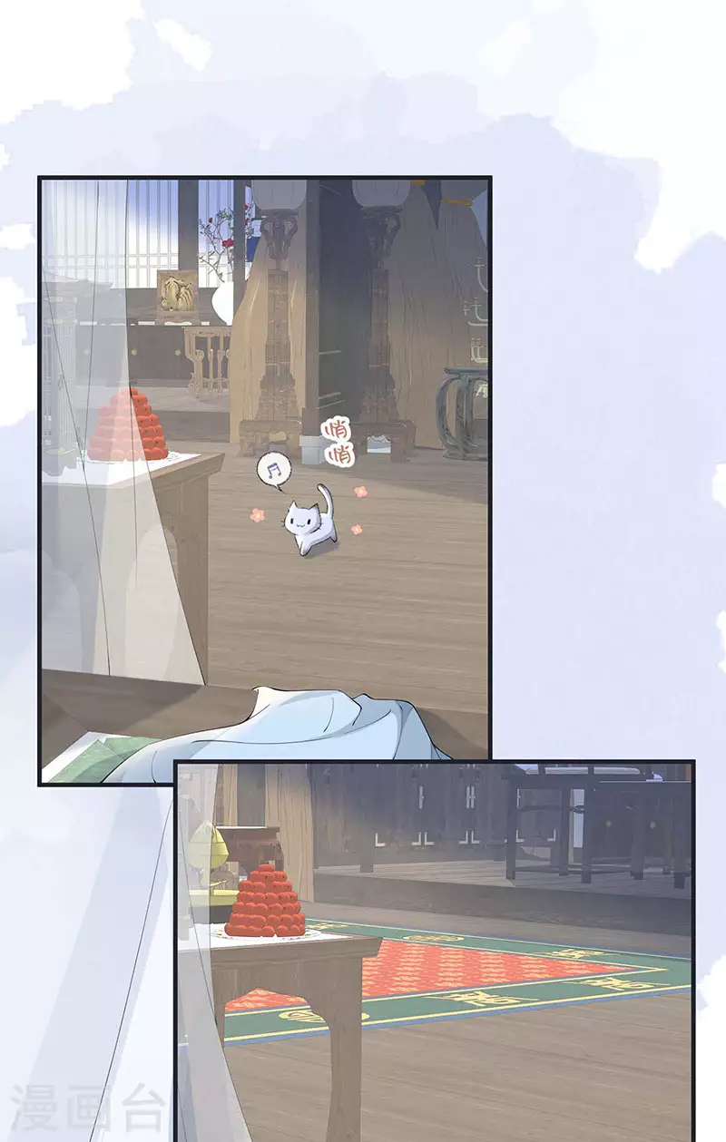 第179话猫咪踩奶10