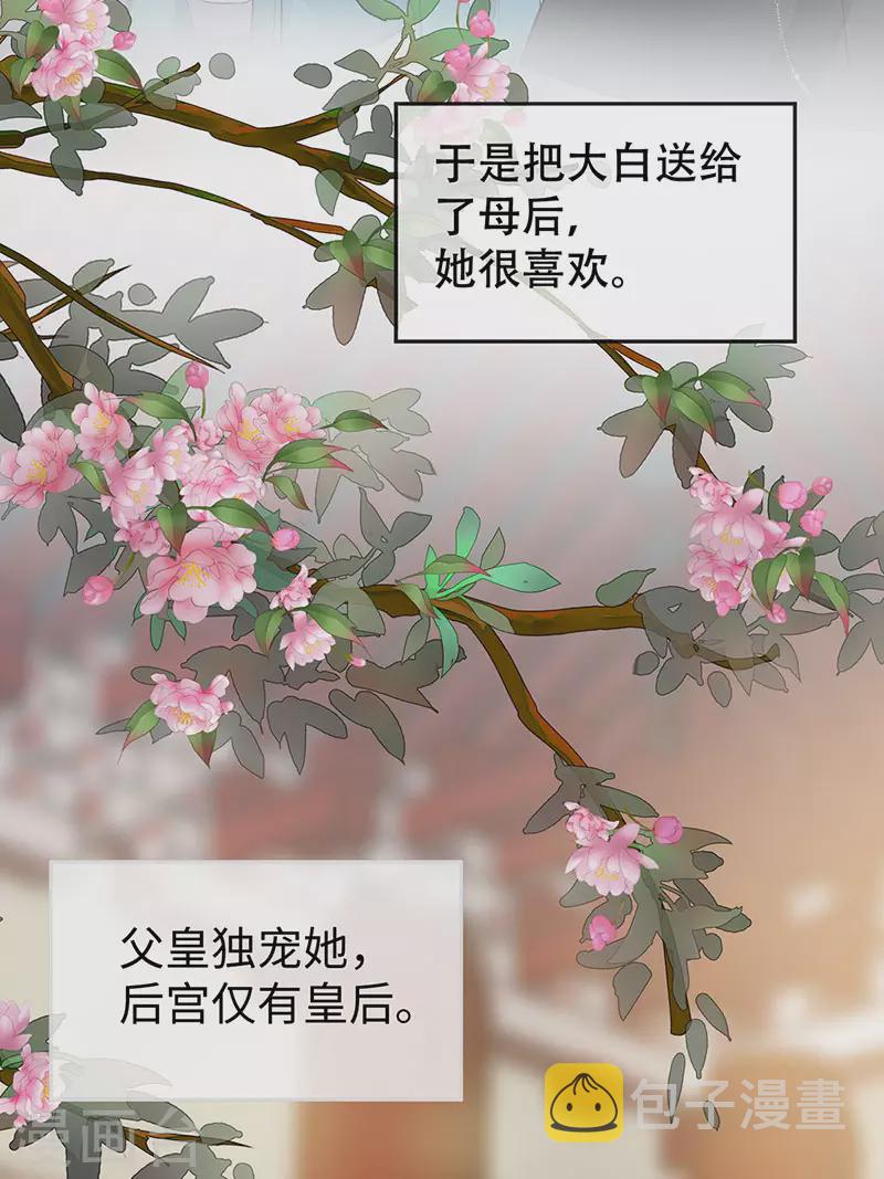 第49话 全是瞎编13