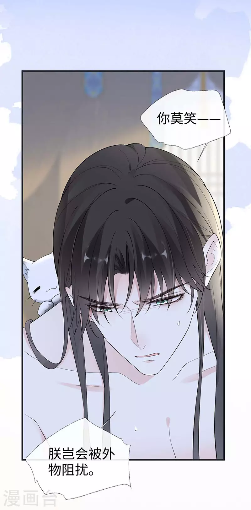 第179话猫咪踩奶14